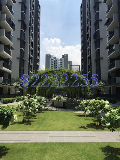 La Fiesta (D19), Condominium #126542302